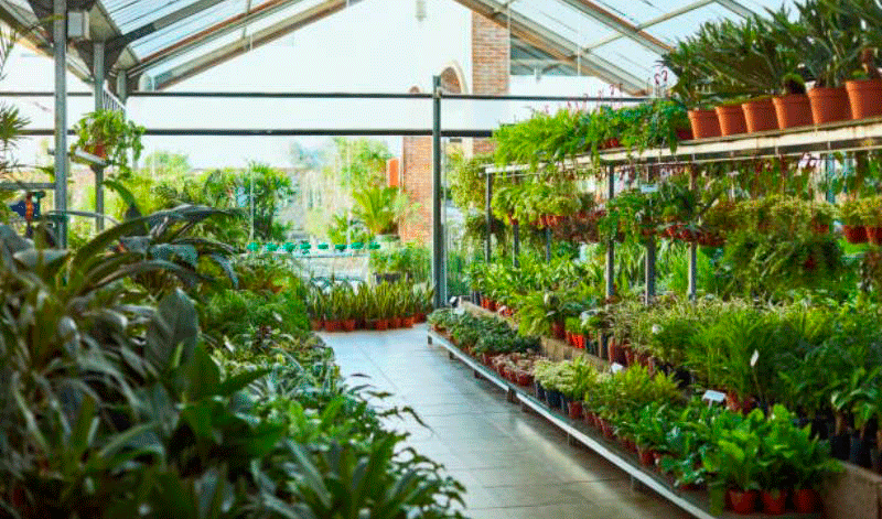 La exportaci�n espa�ola de planta viva alcanz� los 376,8 millones de euros en el primer semestre de 2026...