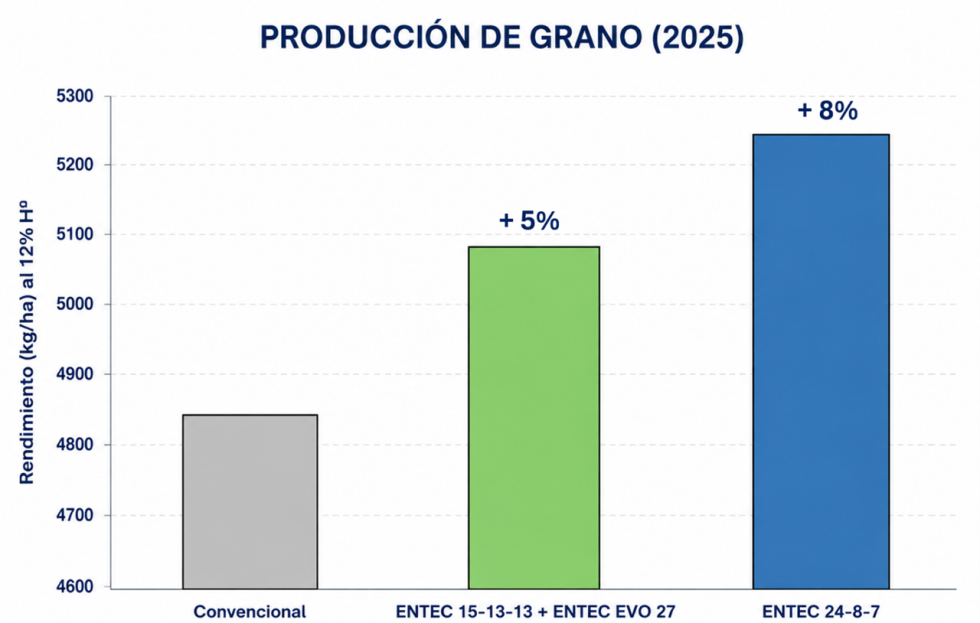 Figura 4. Producci�n de grano obtenida en el ensayo On-Farm 5.0 en la campa�a 2024/25 con la dosis de nitr�geno media...
