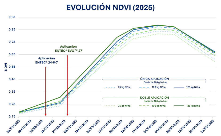 Figura 5. Evoluci�n de NDVI en el ensayo On-Farm 5.0 en la campa�a 2024/25...
