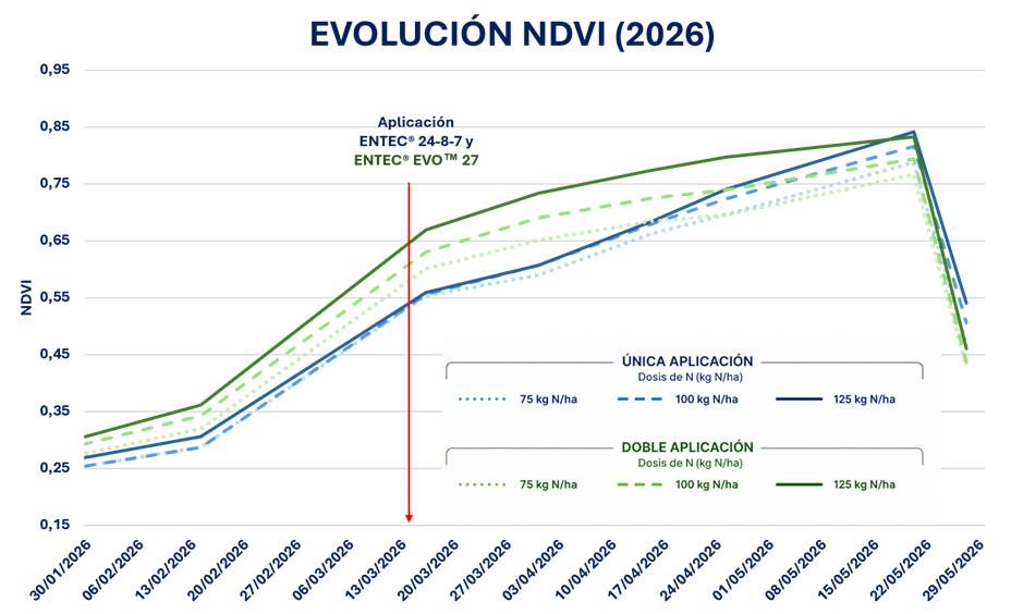 Figura 6. Evoluci�n de NDVI en el ensayo On-Farm 5.0 en la campa�a 2025/26...