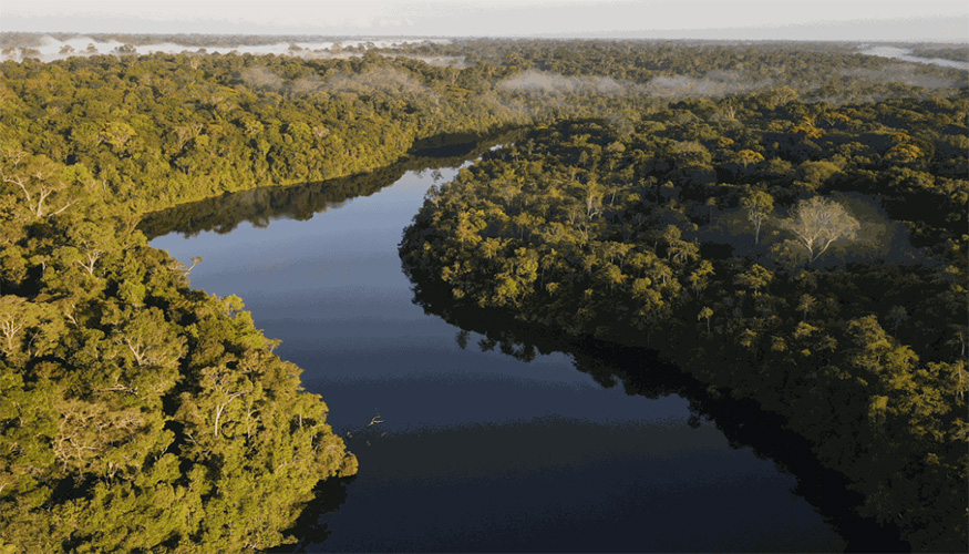 Desde la COP30, celebrada el a�o pasado en Bel�m, el Programa Mutir�o Brasil...