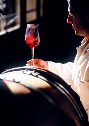 Foto:www.riojawine.com