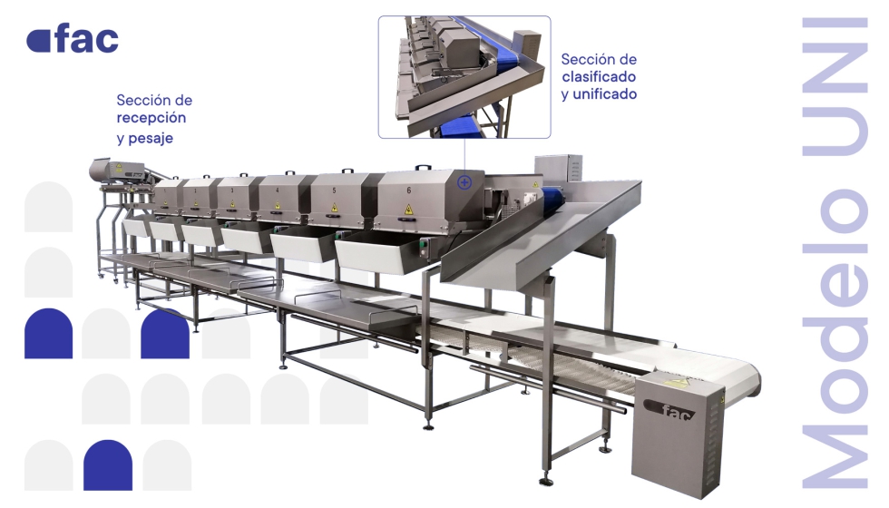 Clasificadora unificadora por peso UNI