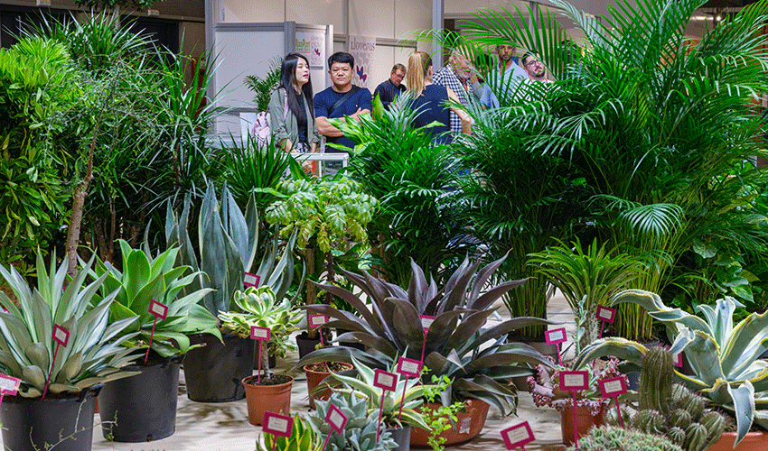 Iberflora 2026 reforzar� su dimensi�n internacional con compradores profesionales procedentes de 37 mercados...