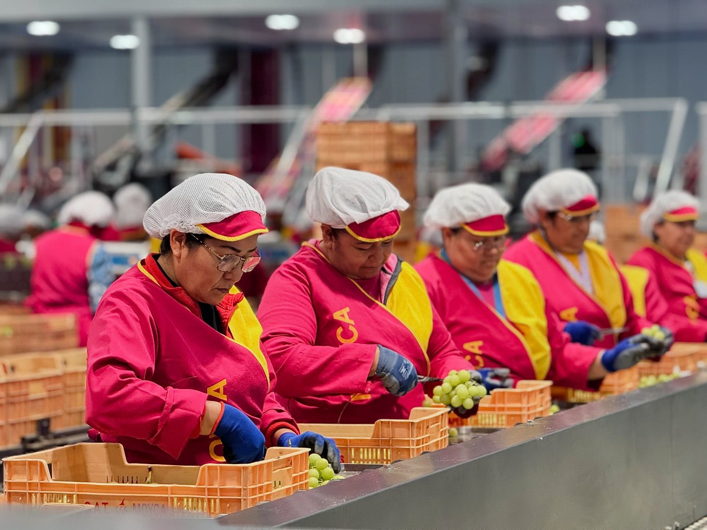 Trabajadores de Moyca confeccionan los diferentes pedidos en las instalaciones de la firma