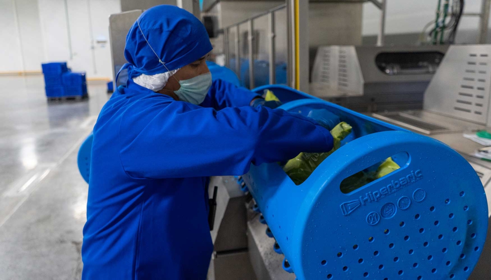 Maquinaria de HPP operando con guacamole
