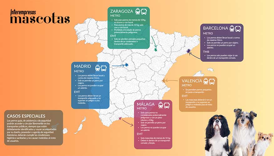 Madrid, Barcelona, Valencia, M�laga o Zaragoza pueden establecer requisitos espec�ficos sobre el uso del transport�n, la correa, el bozal...