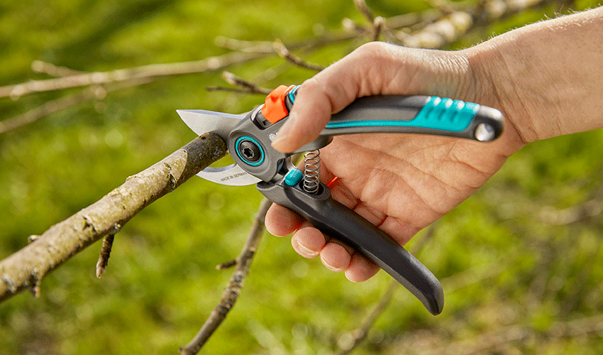 Tijeras de jard�n ExpertCut