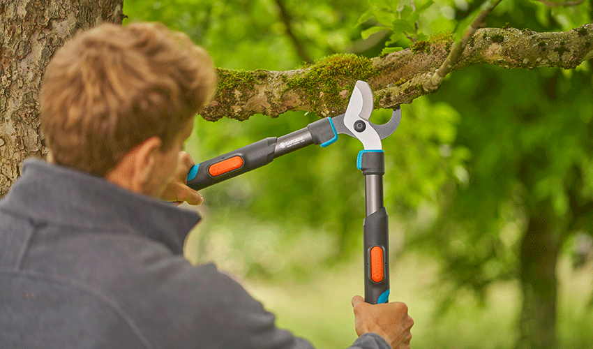 Podadera telesc�pica TeleCut Pro L