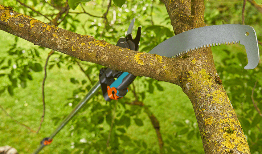Podadora StarCut Pro L