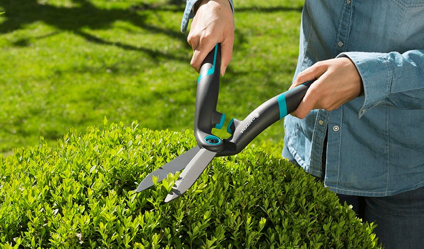 Cortasetos PrecisionCut