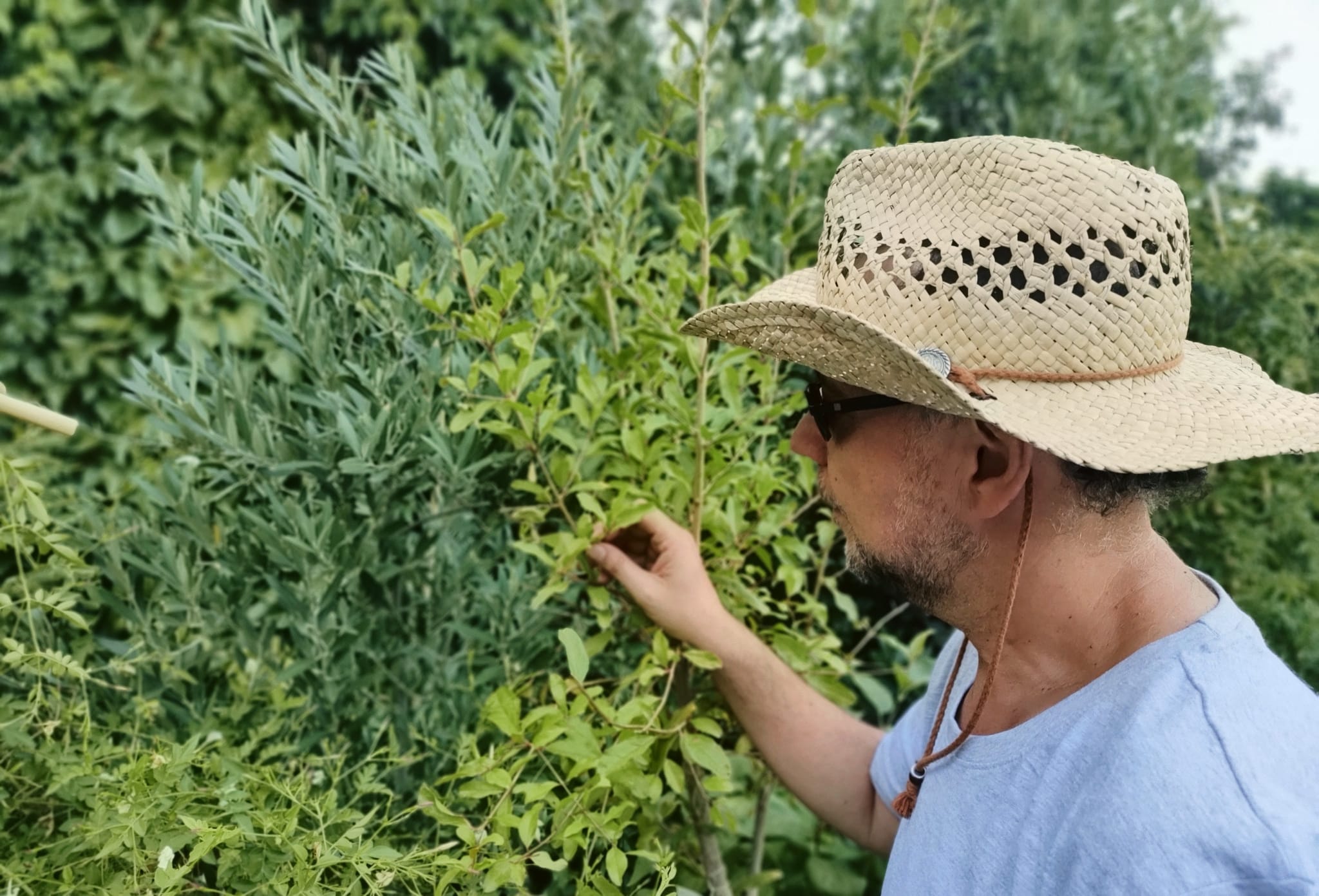Jos� M. de la Torre, experto en jardiner�a y cultivos