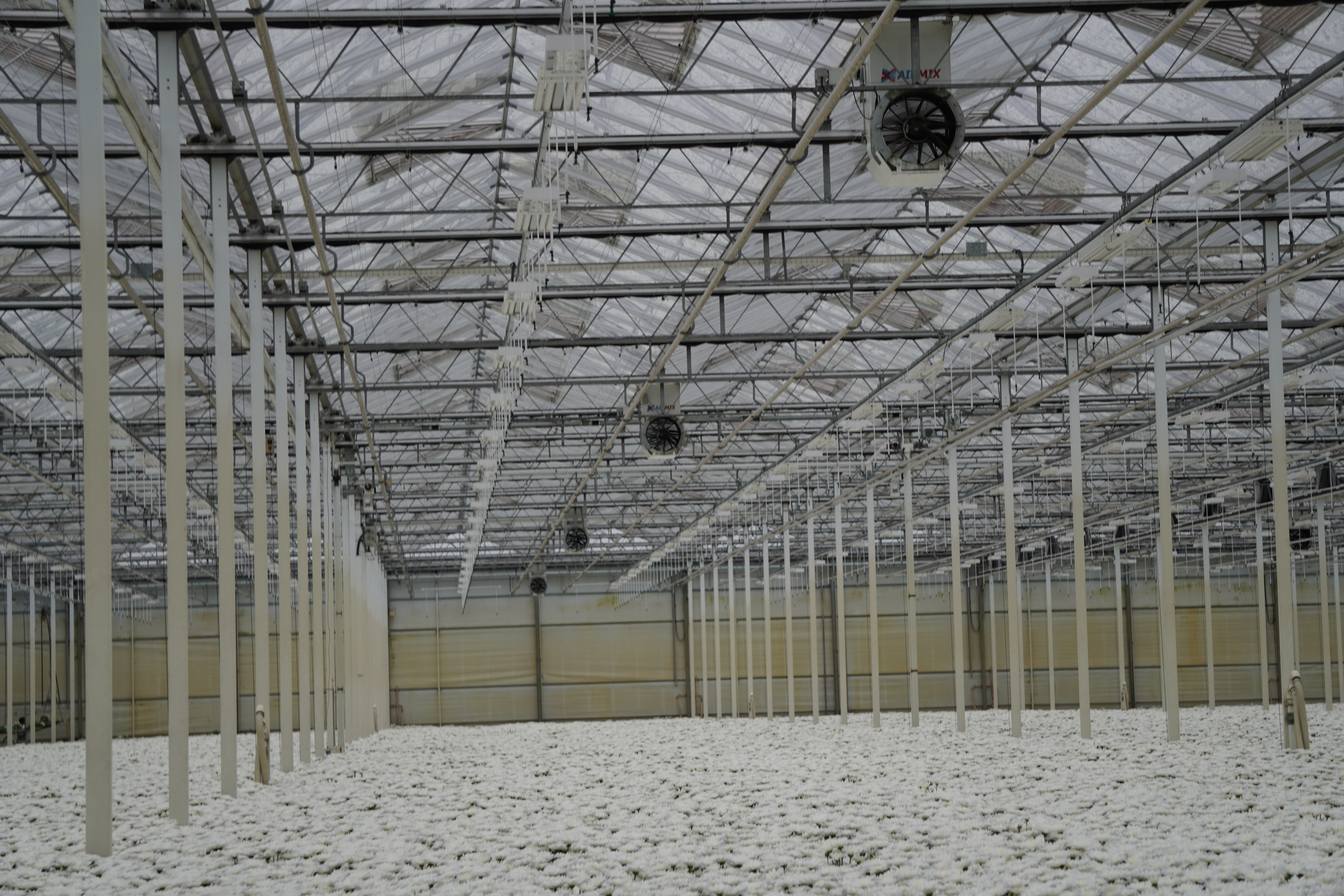 Interior de un invernadero equipado con ventiladores ZIEHL-ABEGG