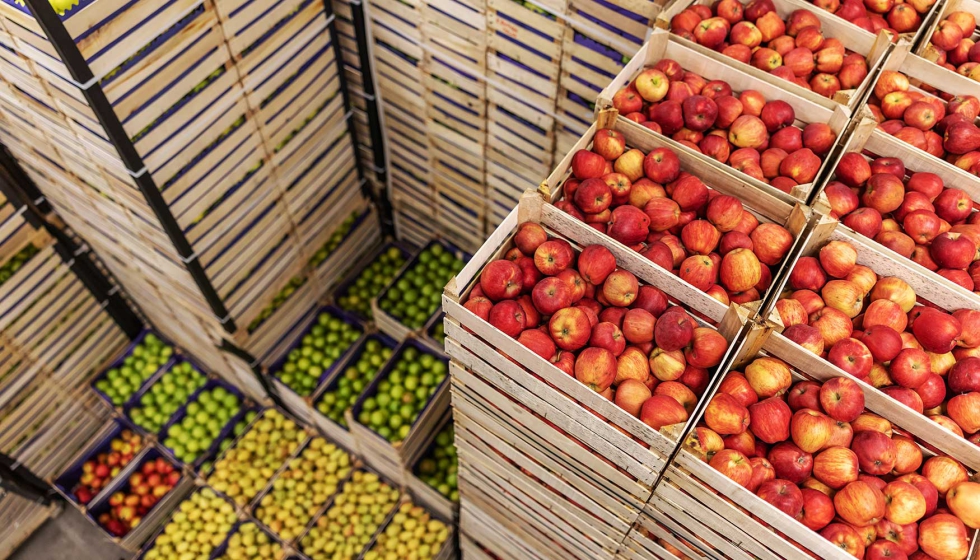 Los envases destinados al sector hortofrut�cola deber�n adaptarse progresivamente a las nuevas exigencias del PPWR...
