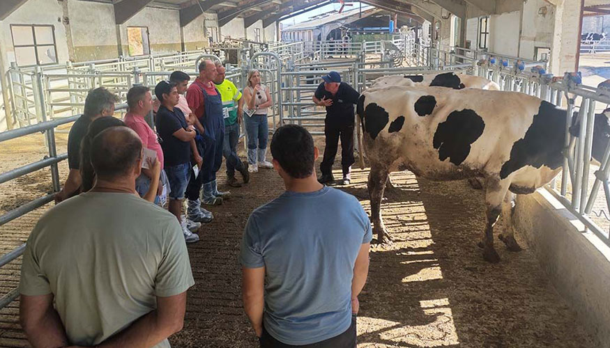 Taller pr�ctico de Conafe y AFNA en la granja navarra Uni�n Montaribe