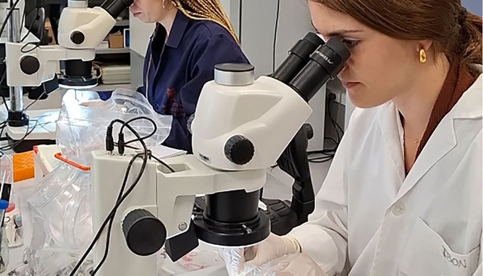 En las pruebas de laboratorio, algunos de los f�rmacos ensayados resultaron hasta 11...