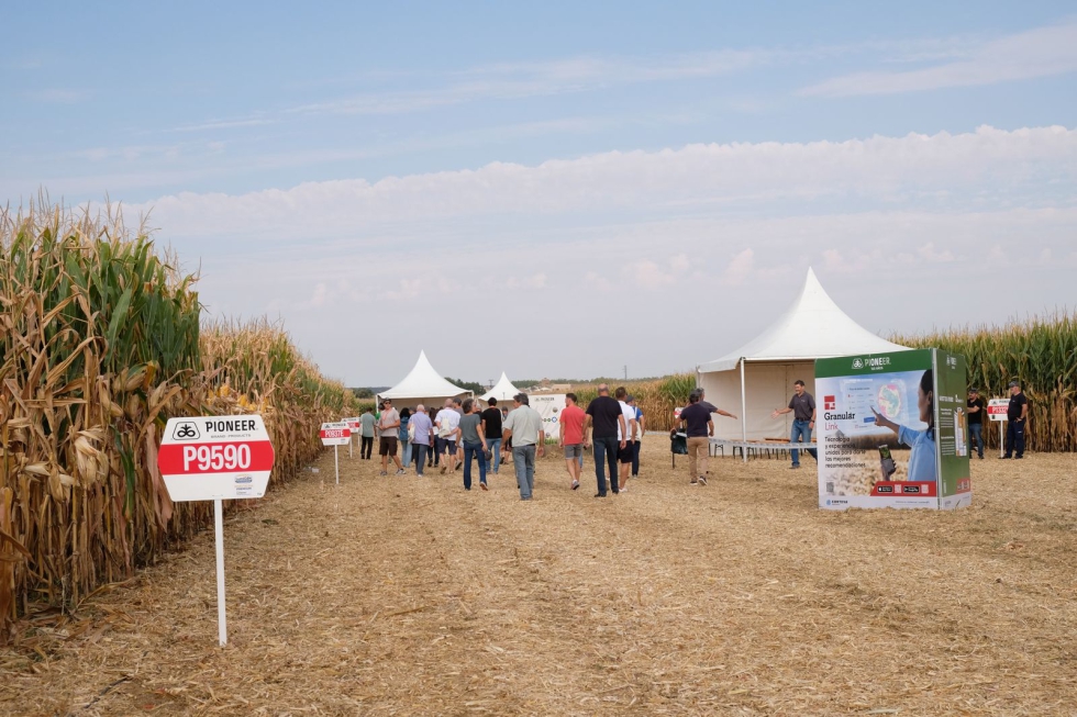La jornada permiti� a los agricultores conocer sobre el terreno el comportamiento agron�mico de diferentes materiales del cat�logo de Pioneer...
