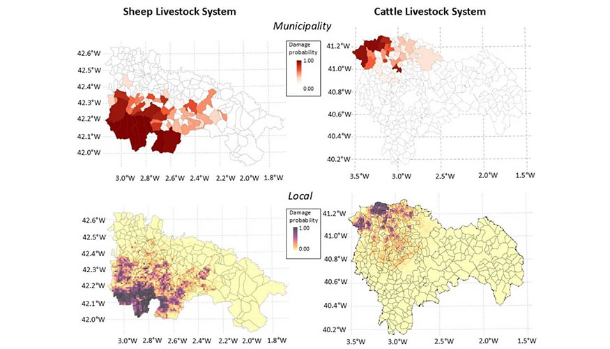 Probabilidad predicha de ataques del lobo al ganado por municipio (arriba) y a escala local (abajo) en La Rioja (izquierda) y Guadalajara (derecha)...