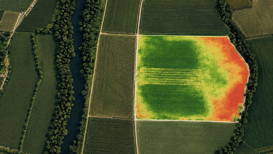 Vista de sat�lite de campo agr�cola com NDVI. Foto: Agroinsider
