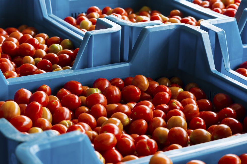 Cooperativas Agro-alimentarias de Extremadura defendi� que el seguro agrario deb�a adaptarse a la evoluci�n de los riesgos clim�ticos...