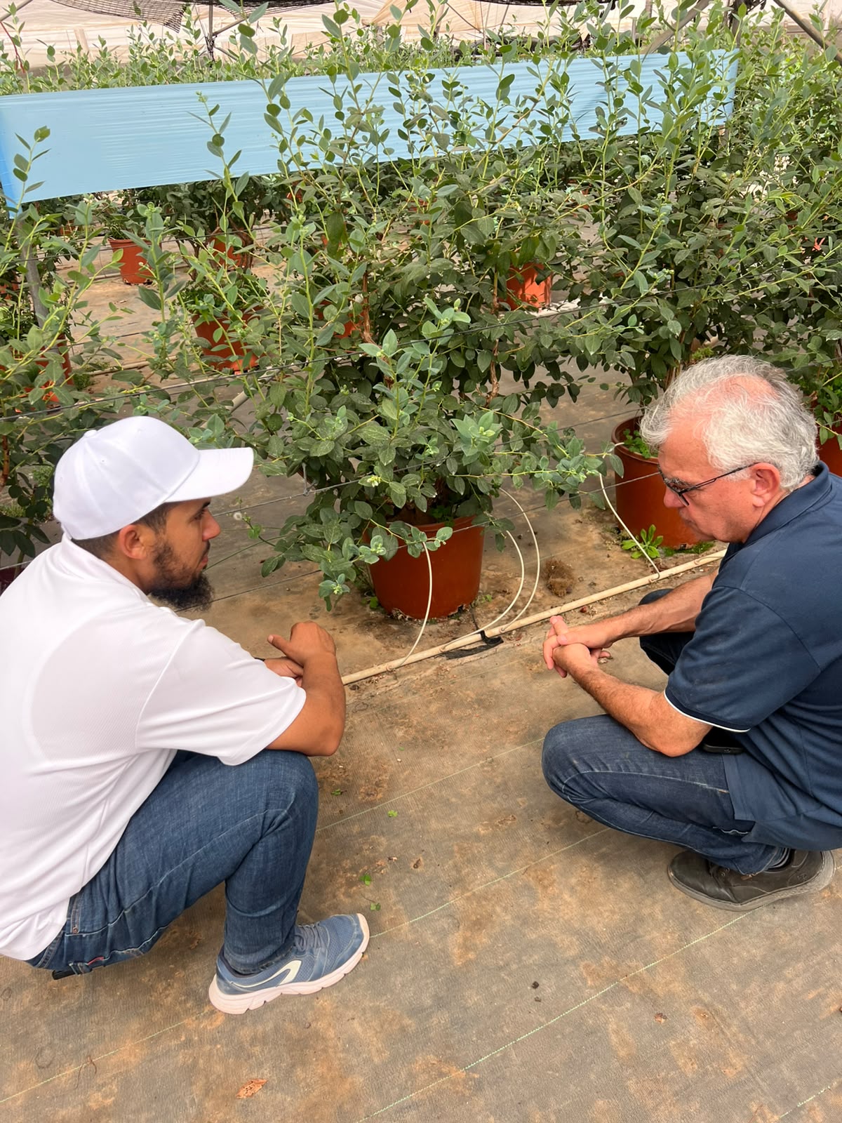 Una de las principales novedades que Pelemix mostrar� en Fruit Attraction es CoirFlex, el nuevo grow bag premium e innovador de la compa��a...