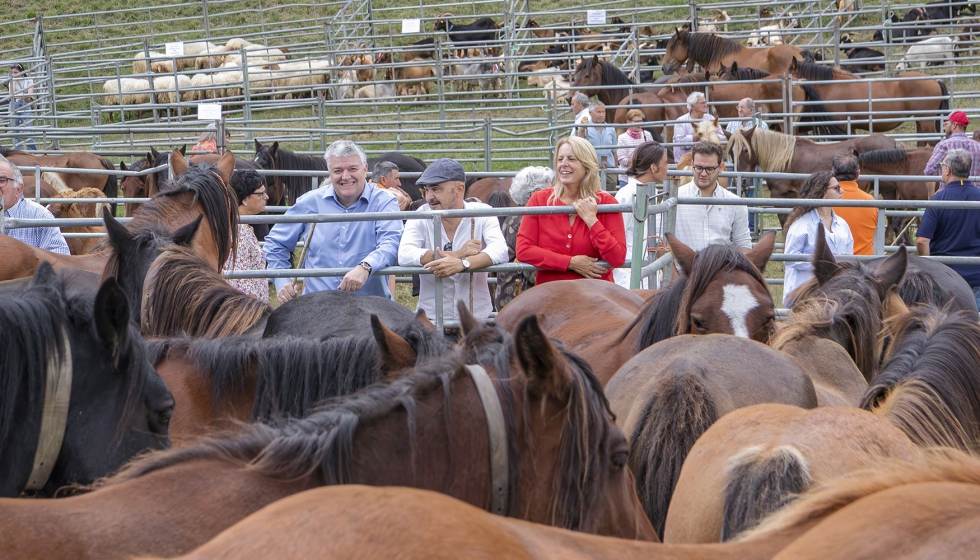 Visita de autoridades al ganado equino de la Feria de Ganado de Puentenansa
