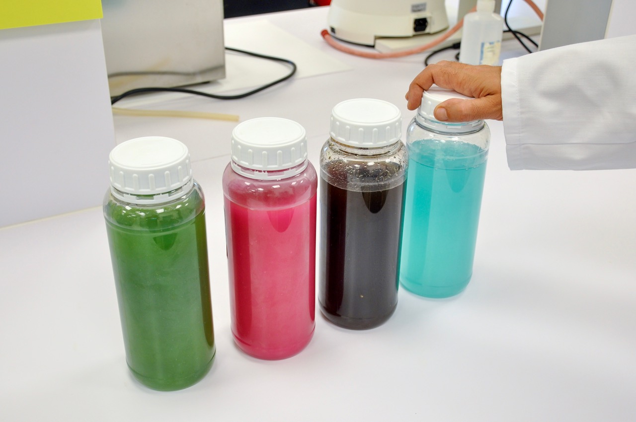 Imagen de las cuatro nuevas soluciones que Arvensis Agro presentar� en Fruit Attraction 2026: G-Amin, G-Algae, G-Osmeq y G-Full...