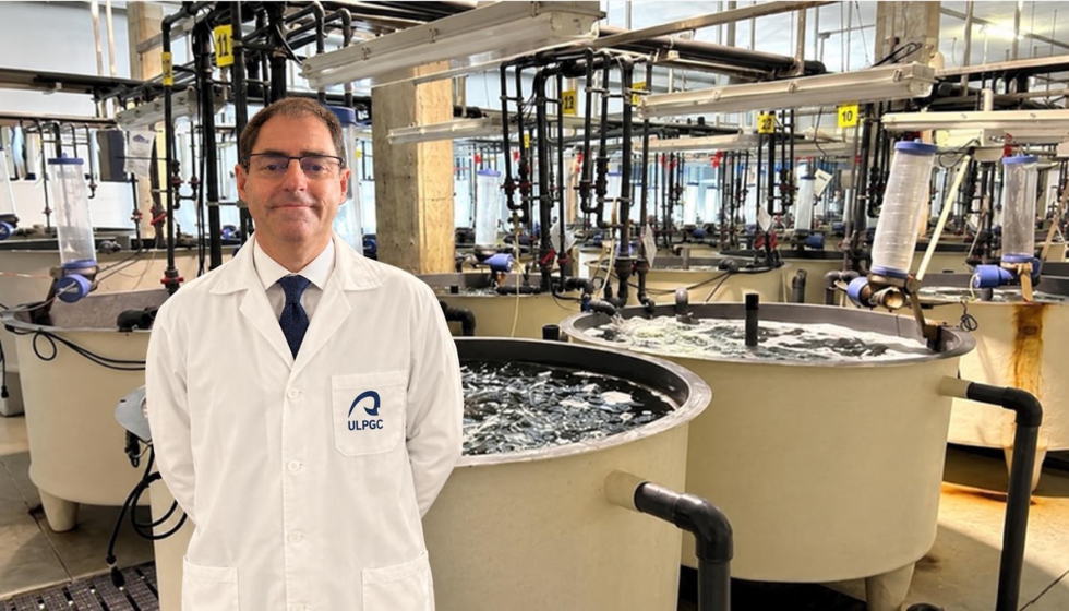 Las larvas de dorada alimentadas con hasta un 10% de la micoprote�na obtenida del hongo filamentoso Paecilomyces variotii (PEKILO) presentaron un...