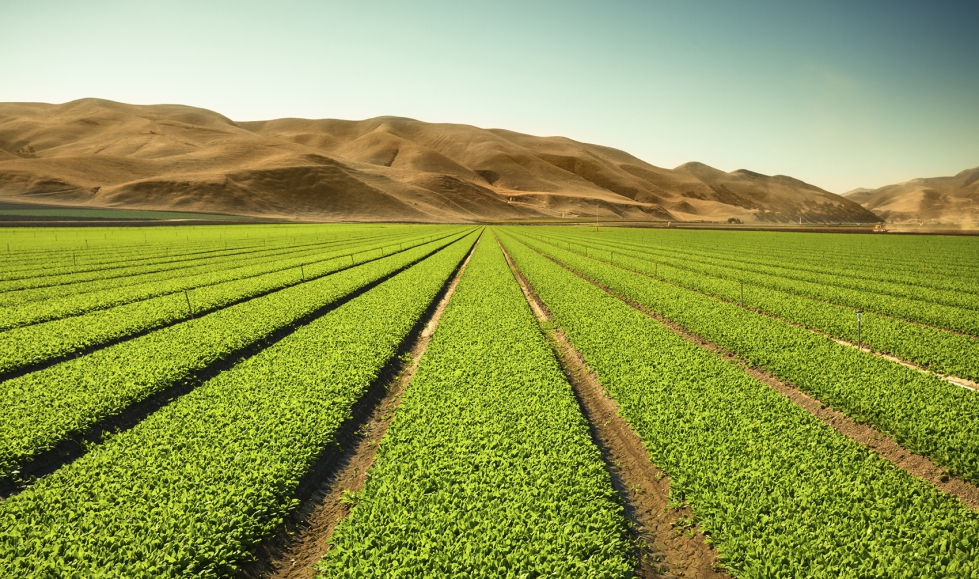 La compa��a cuenta con 12 nuevas materias activas, incluidos 5 productos biol�gicos, cuyo lanzamiento est� previsto durante los pr�ximos a�os...