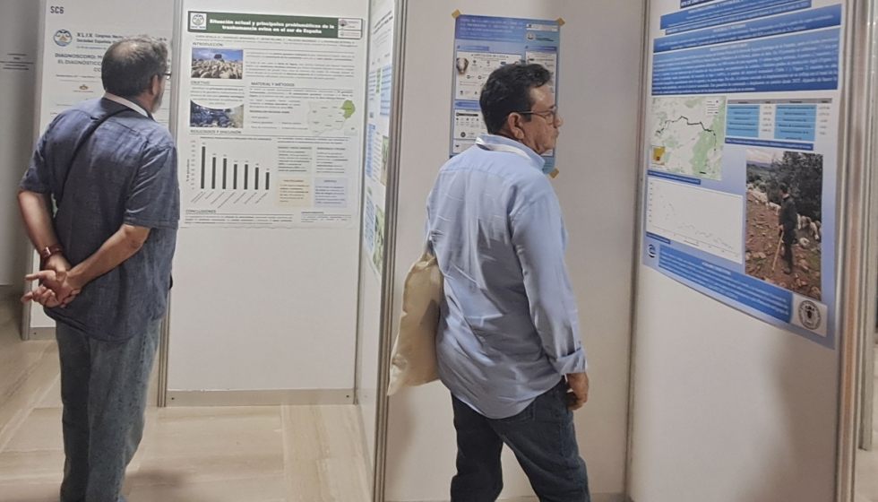 Estudio en forma de p�ster presentado en el pasado Congreso de la SEOC en C�diz