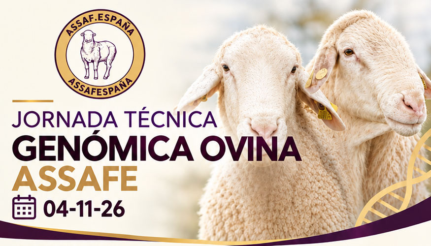 Foto de Assafe organiza una jornada t�cnica para analizar la gen�mica en la mejora ovina