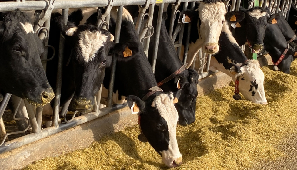 Explotaci�n de vacuno de leche