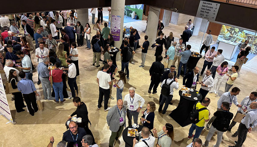 Zona de networking del XLV Congreso de Anaporc en Tarragona