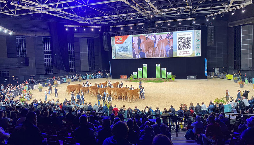 Ring del ganado vacuno de carne con la celebraci�n del Concurso Nacional de Limus�n en Francia