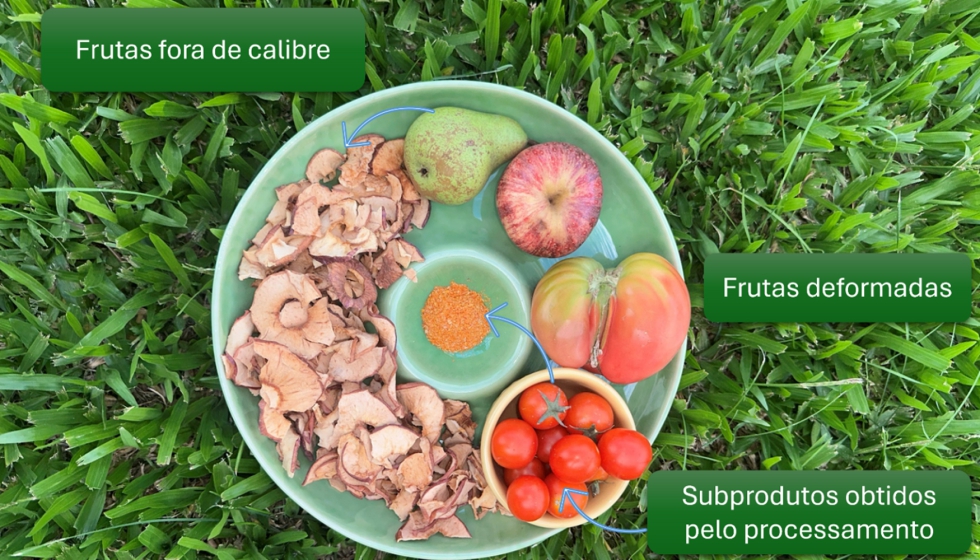Valoriza��o biotecnol�gica de frutas fora de calibre ou rejeitadas e subprodutos do processamento industrial...