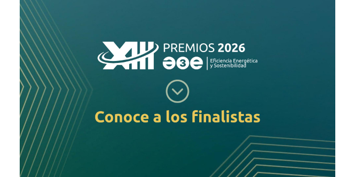 Presentaci�n de la XIII edici�n de los Premios A3E