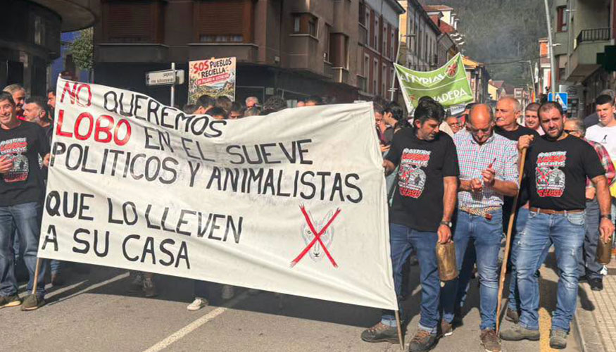 Manifestaci�n de los ganaderos en Infiesto contra la gesti�n del lobo