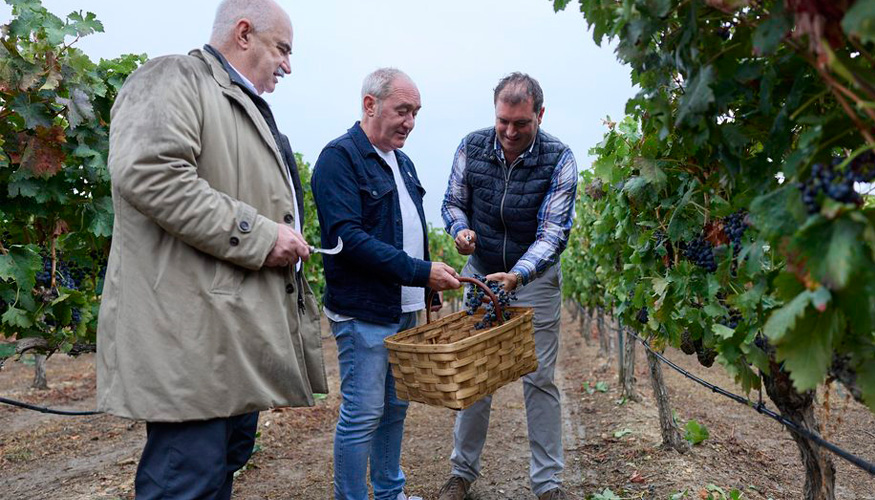La campa�a, marcada por las altas temperaturas...