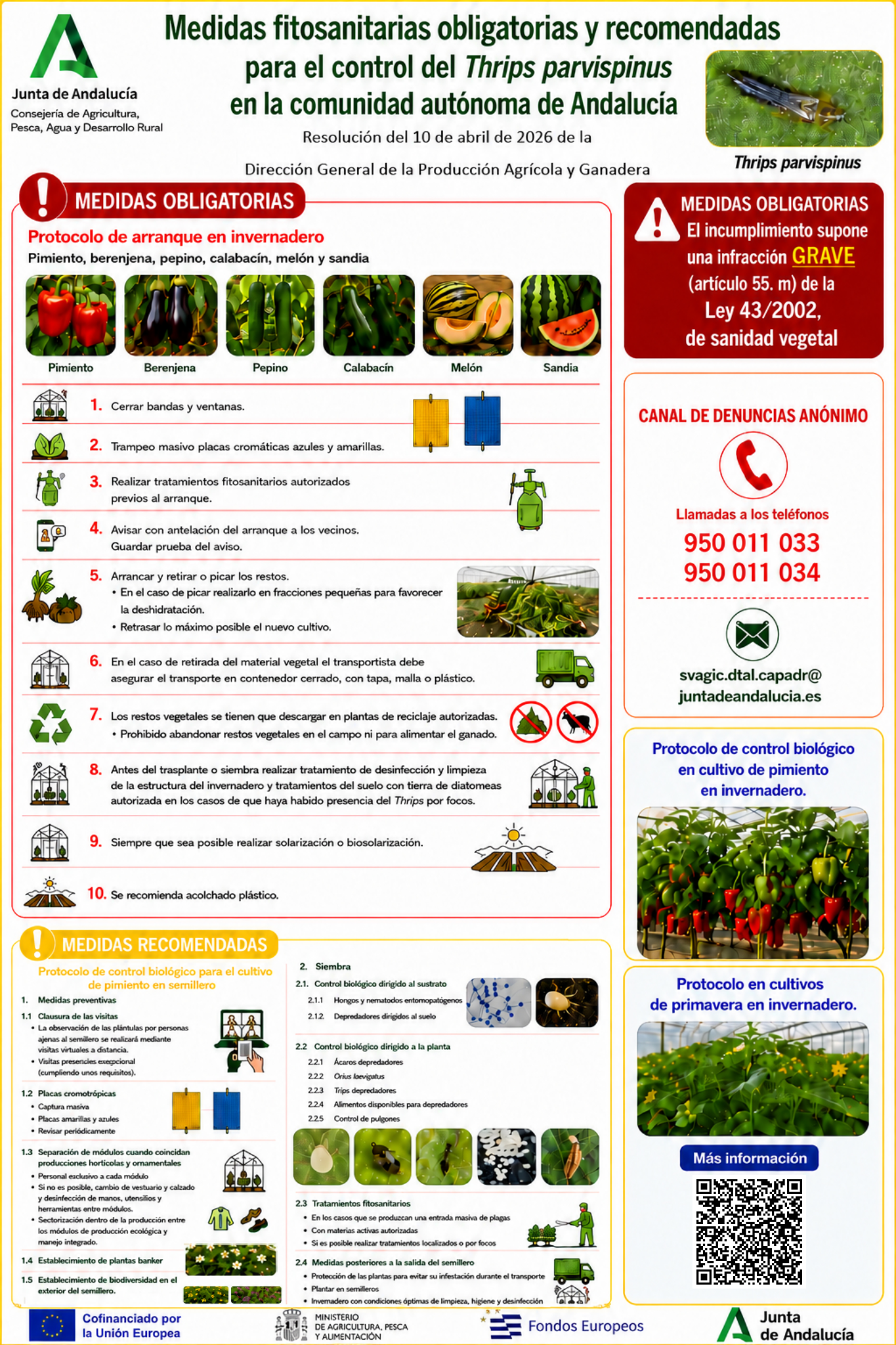 Infograf�a elaborada por la Consejer�a de Agricultura de la Junta de Andaluc�a para controlar el avance del Thrips parvispinus...