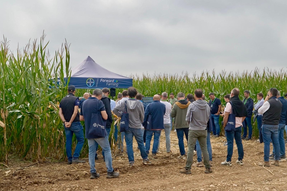 La primera finca espa�ola de ma�z del programa internacional ForwardFarming de Bayer es un espacio de ensayos y demostraci�n sobre el terreno...