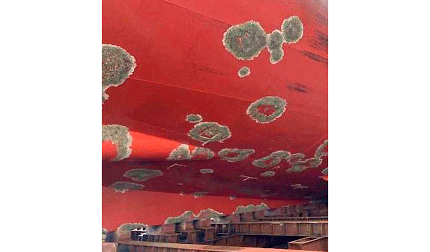 Casco de un buque con incrustaciones