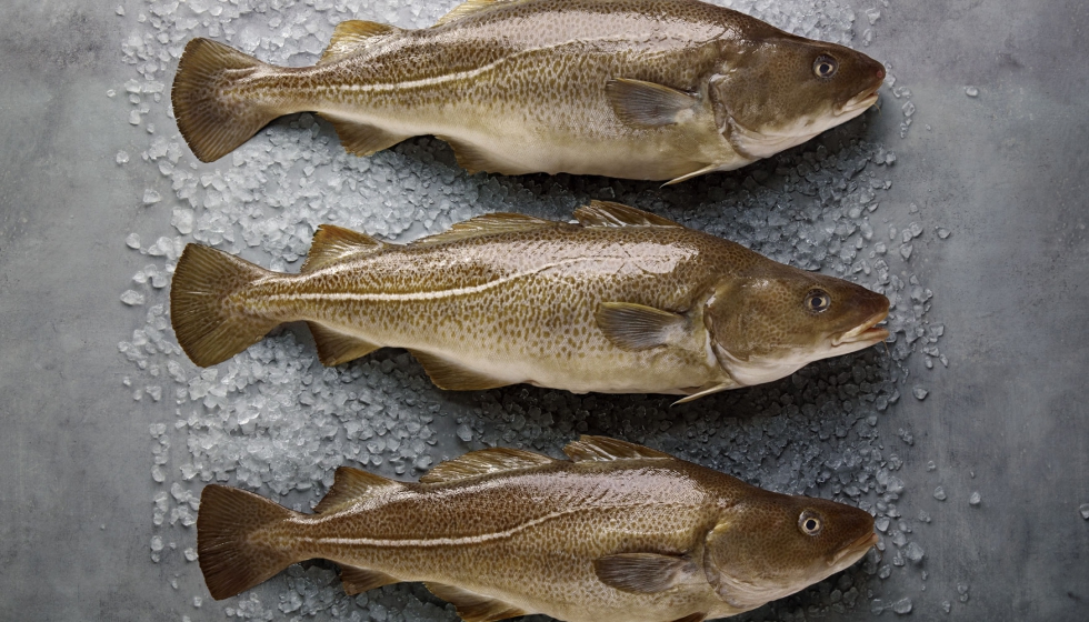 La revoluci�n de la prote�na impulsa el inter�s por el bacalao de Noruega