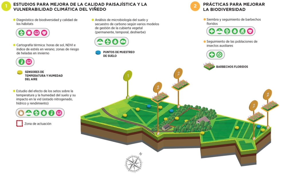 Resumen de las actuaciones llevadas a cabo en la zona experimental de Gaillac-Tarn, perteneciente a la AOP Gaillac...