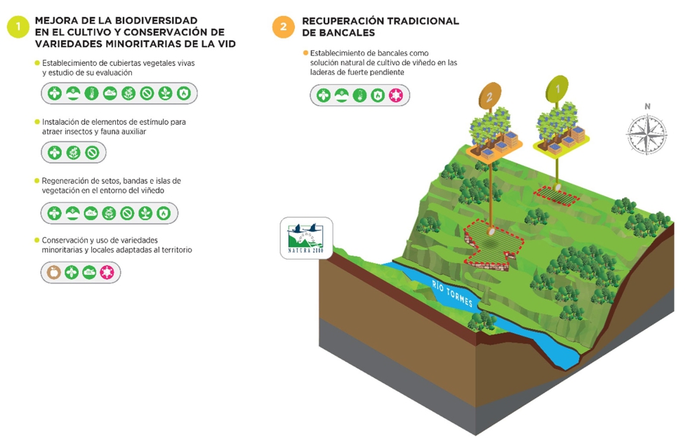 Resumen de las actuaciones llevadas a cabo en la zona experimental de Arribes del Duero, perteneciente a la DOP Arribes