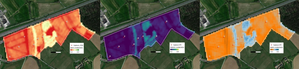 Mapa de teledetecci�n del vi�edo durante la ola de calor en Gaillac. NDVI Sentinel2 (DOY 226), MSAVI2 Sentinel 2 y NDMI Sentinel 2...