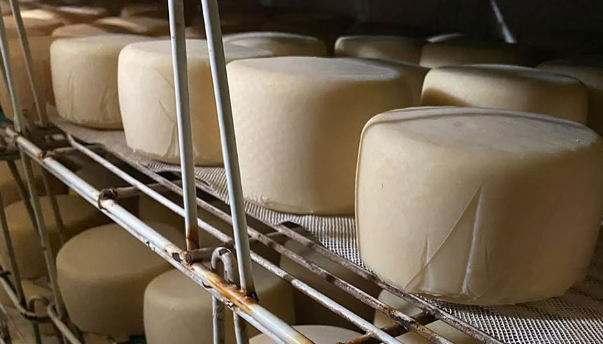 Sala de maduraci�n en una queser�a de la DOP Queso Roncal