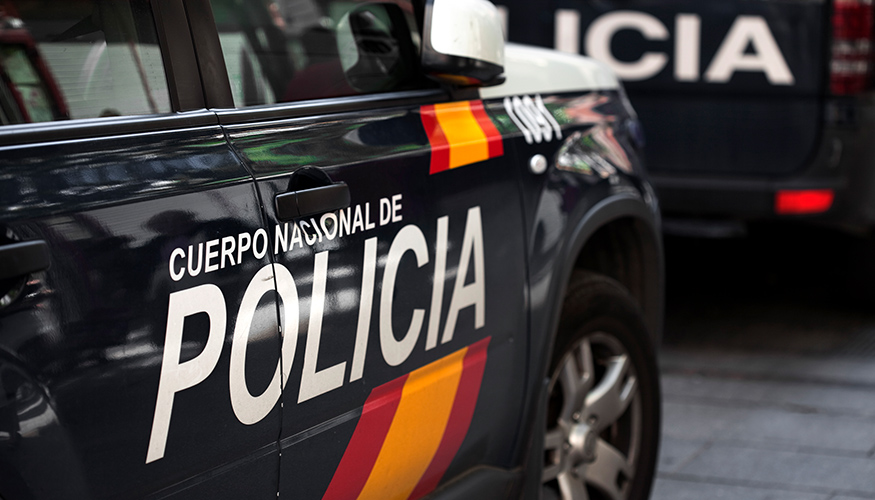 Fuerza y Cuerpos de seguridad espa�olas