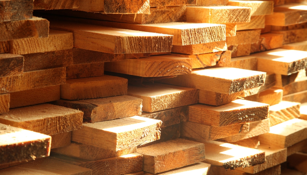 La madera y sus derivados pueden ser una alternativa para la descarbonizaci�n del sector