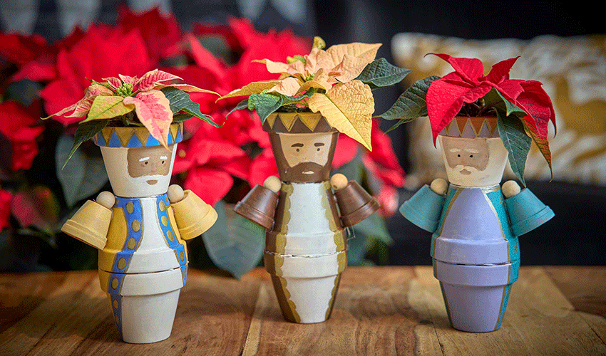 Las mini poinsettias permiten elaborar adornos personalizados para las fiestas...