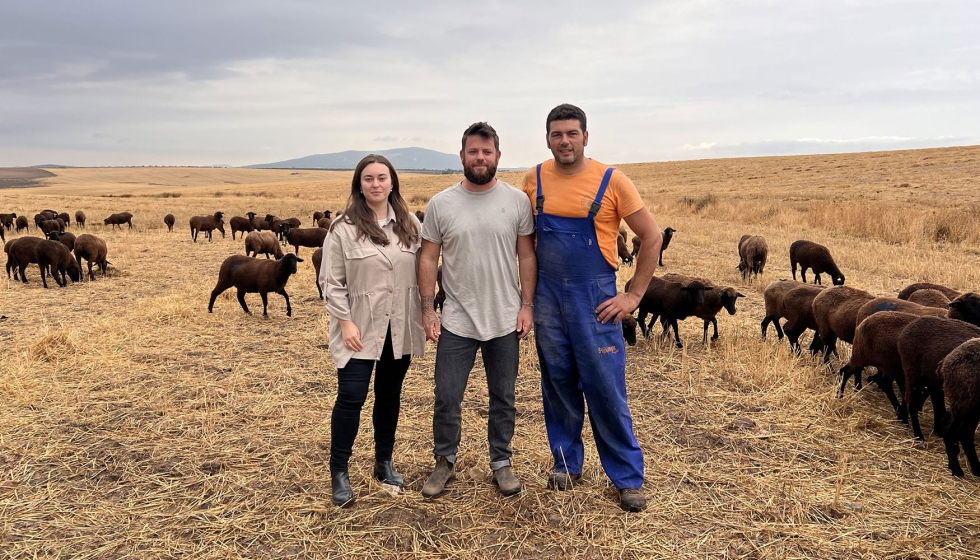 Misi�n inversa de la raza Merina desarrollada durante la FIG de Zafra